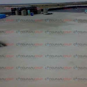 proiect